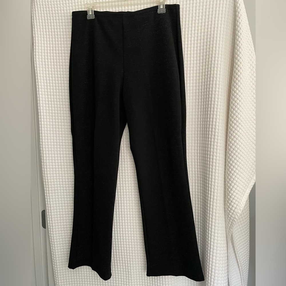 FULL COVERAGE Black dress pants. No size tag.